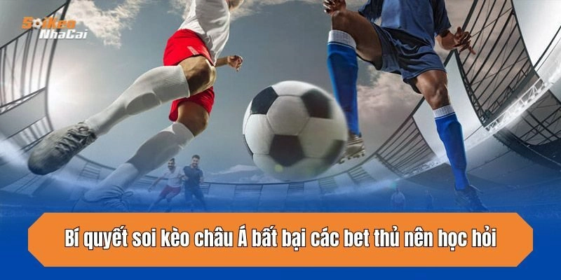 bi-quyet-soi-keo-chau-a-bat-bai-cac-bet-thu-nen-hoc-hoi